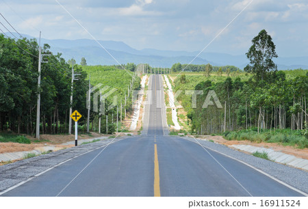 Long countryside road 16911524
