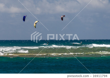 People having fun at hawaii beach with kitesurf 16911794