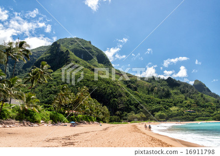 People having fun at hawaii beach 16911798