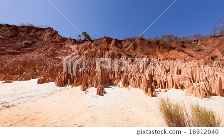 Red / Zingiga Landscape 16912040