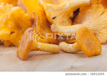 Chanterelles on wooden table 16912095