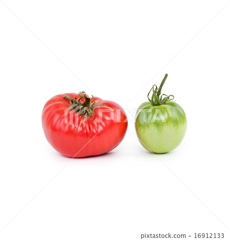 Green and red tomato Green and red tomato 16912133