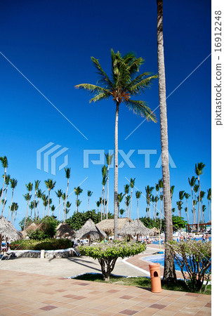 Luxury tropical hotel resort Luxury tropical hotel resort 16912248