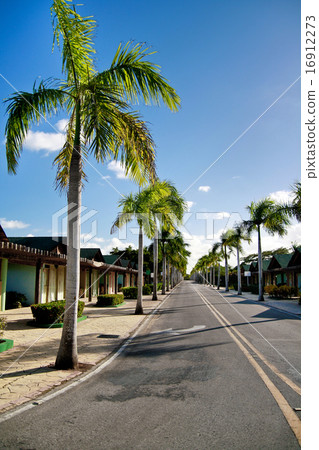 Caribbean road 16912273