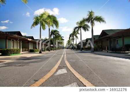 Caribbean road 16912276