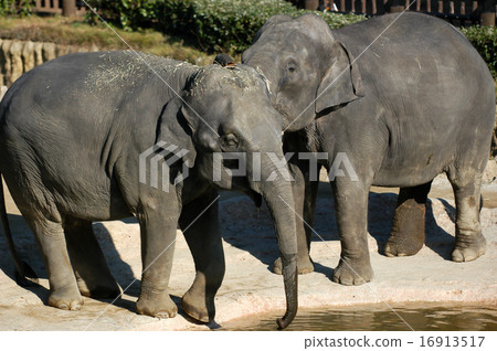 Let's go into the water Let's go into the water 16913517