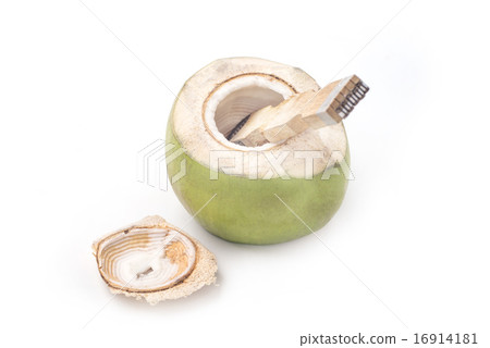 Coconut grater isolated with coconut 16914181