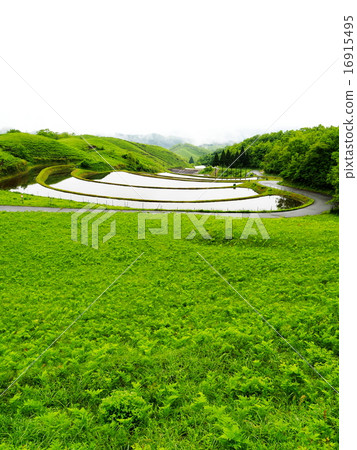 扇米飯露台 扇米飯露台 16915495