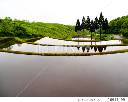 扇米飯露台 16915499