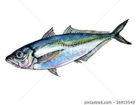 亞洲水彩插圖 16915549