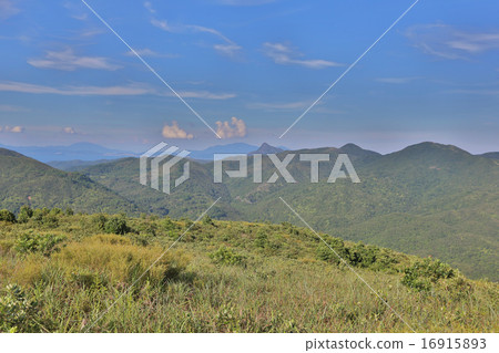 Tai Tun view of  sai kung 16915893