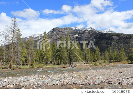 Yellowstone National Park 16916078