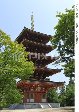 Restored five stories 16916337