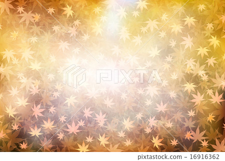 Maple autumn leaves background Maple autumn leaves background 16916362