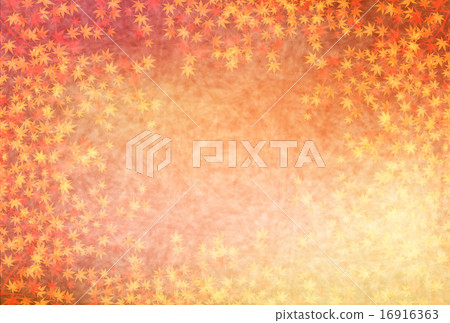 Maple autumn leaves background Maple autumn leaves background 16916363