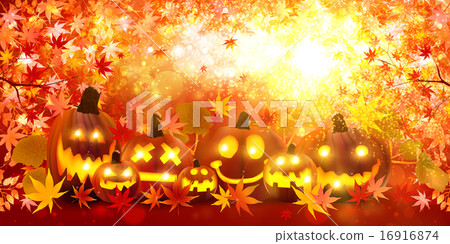 萬聖節南瓜楓 萬聖節南瓜楓 16916874