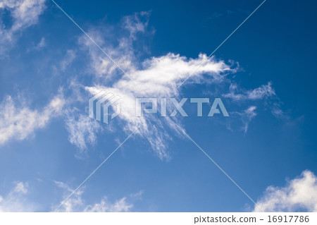 Cloud 16917786