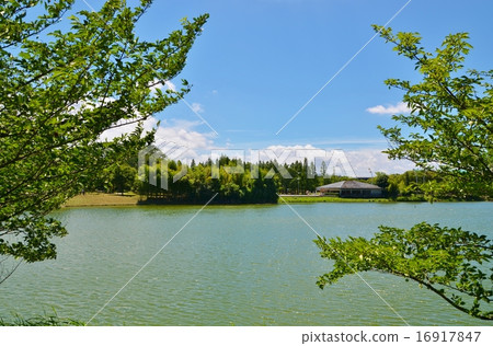 在水邊景觀 在水邊景觀 16917847