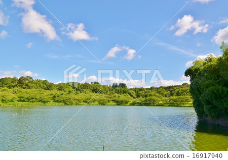 大阪鶴見格陵蘭的池塘 16917940