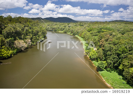 River in rainforest 16919219