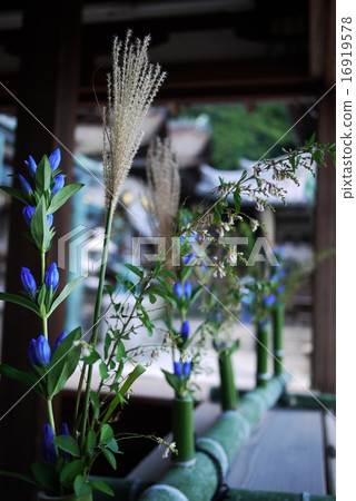 Fifth night flower decoration 16919578