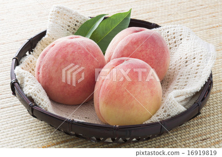 桃子 16919819