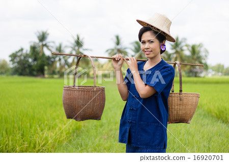 Woman in farmer suit on rice fields Woman in farmer suit on rice fields 16920701