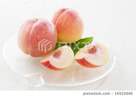peach peach 16920886