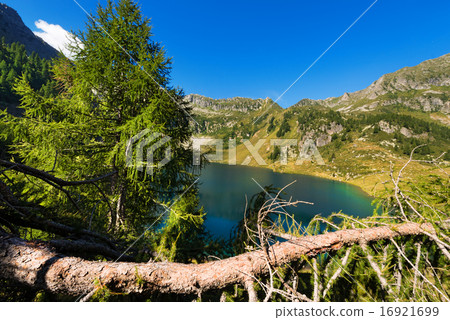 Lago di Campo - Adamello Trento Italy 16921699