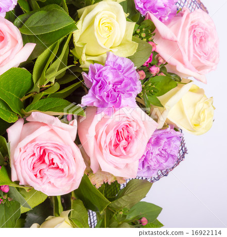 Abstract background of flowers. Close-up. Abstract background of flowers. Close-up. 16922114