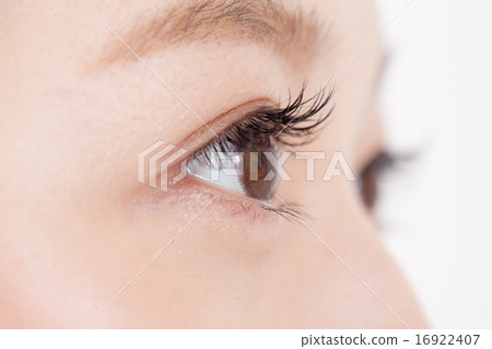 eye makeup, female, lady 16922407