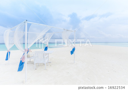 表設置 表設置 16922534