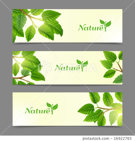 Green leaves eco banners set 16922765