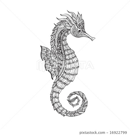 Doodle sketch seahorse black line 16922799