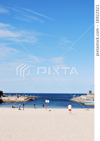 Sunbathing at Clovelly Beach 16922821