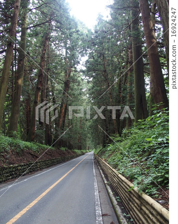 Nikko Suginami·圖片（01） 16924247