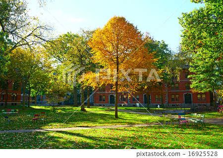 Harvard yard at Cambridge 16925528