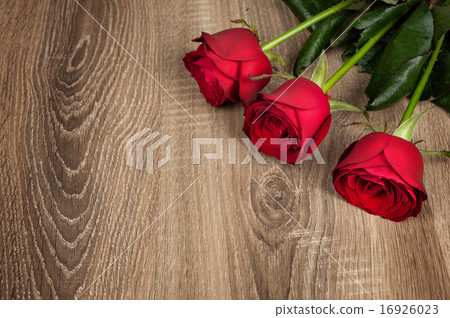Red rose flower on wood 16926023