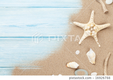 Sea sand with starfish and shells 16926788