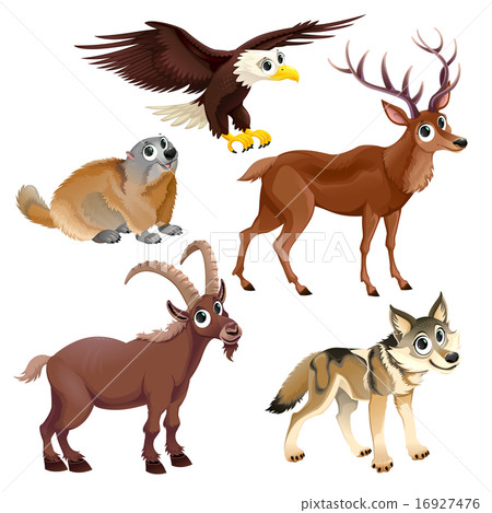 Funny mountain animals, deer, eagle, groundhog, steinbock, wolf 16927476