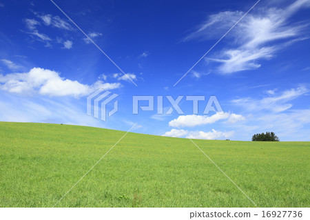 Kamifurano-cho in Hokkaido grassland and summer clouds 16927736