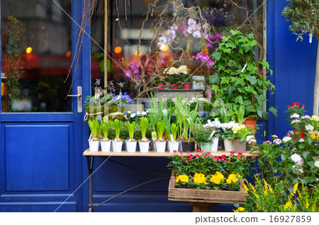 Beautiful flowers sold on outdoor flower shop 16927859