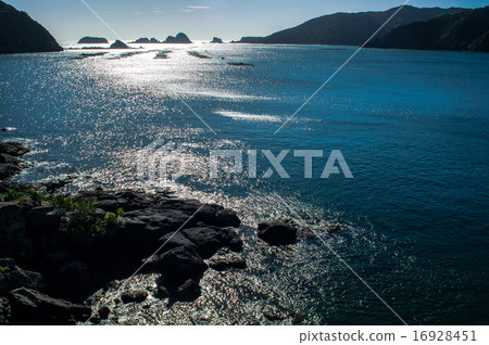 閃亮的大海 16928451