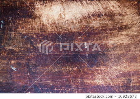 樹背景 樹背景 16928678