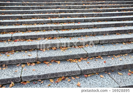 Deciduous leaves and stairs Deciduous leaves and stairs 16928895