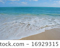 Hawaii Beach 16929315