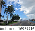 Hawaiian Road 16929316