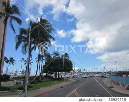 夏威夷路 夏威夷路 16929316
