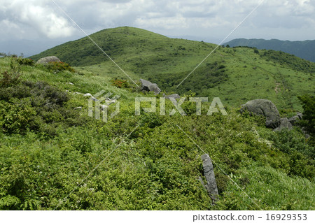 Dogo mountain in the summer Dogo mountain in the summer 16929353