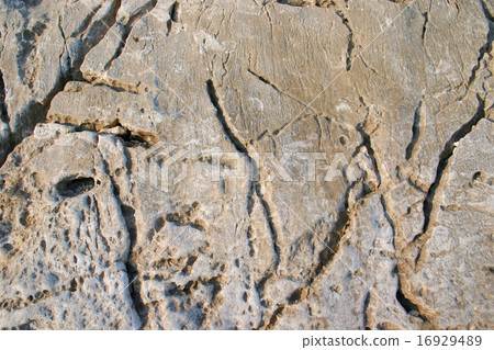 Stone Stone 16929489